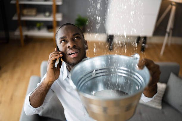 Best Water damage restoration experts  in Bridgeview, IL