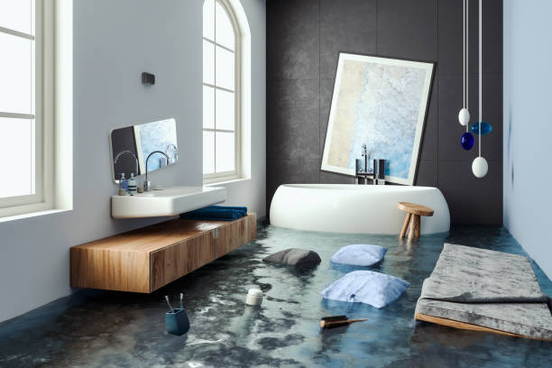 Best Water damage contractors near me  in Bridgeview, IL