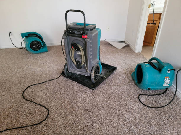Best Sewage cleanup and water damage restoration  in Bridgeview, IL