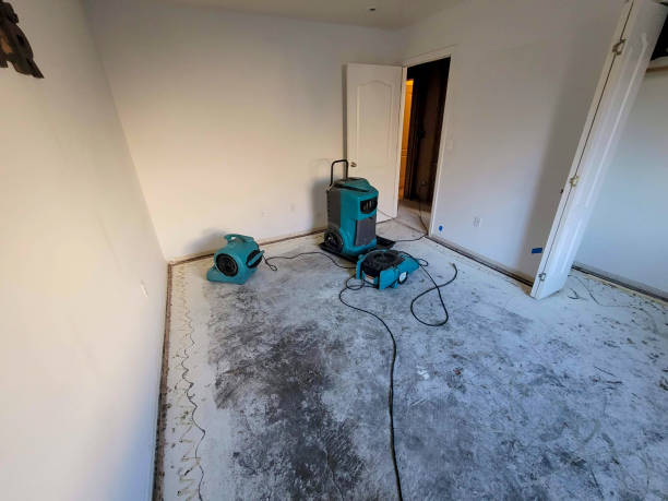 Water damage restoration experts in Bridgeview, IL