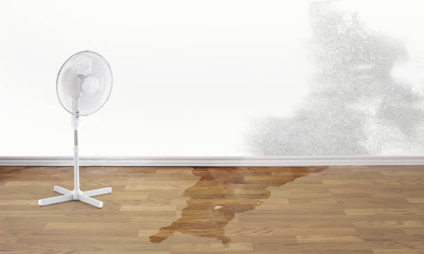 Professional Water damage restoration in Bridgeview, IL