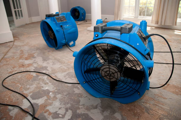 Best Water damage restoration near me  in Bridgeview, IL