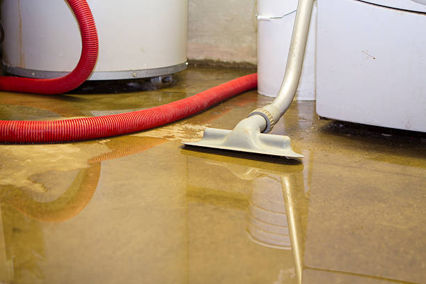 Best Professional water damage repair  in Bridgeview, IL