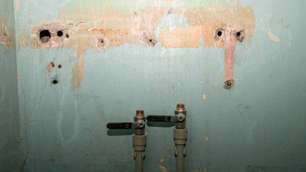 Best Mold removal after water damage  in Bridgeview, IL