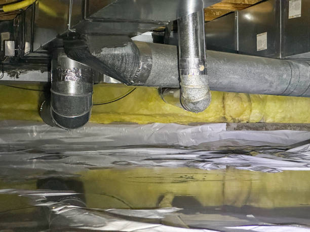 Best Flood restoration services  in Bridgeview, IL