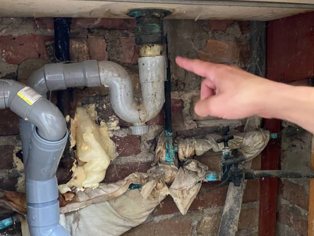 Best Flood restoration services  in Bridgeview, IL