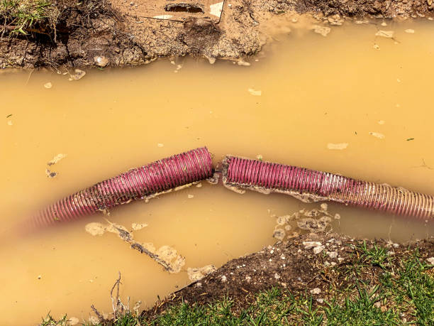Best Water damage restoration experts  in Bridgeview, IL