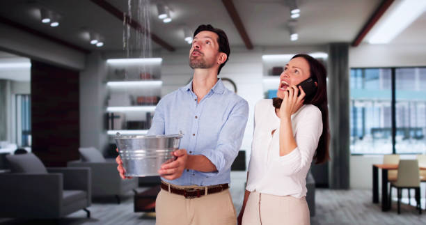 Best Flood restoration services  in Bridgeview, IL