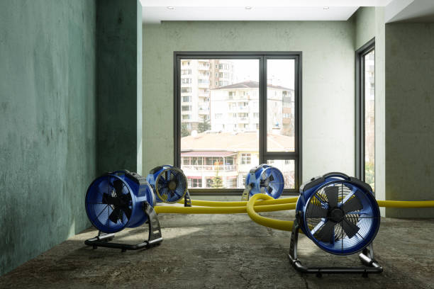 Best Water damage restoration near me  in Bridgeview, IL
