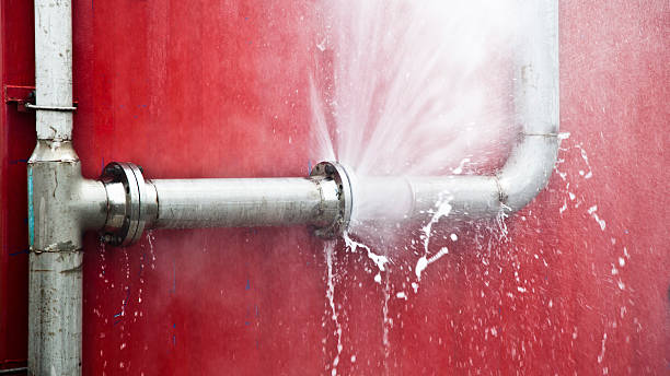 Best Sewage cleanup and water damage restoration  in Bridgeview, IL